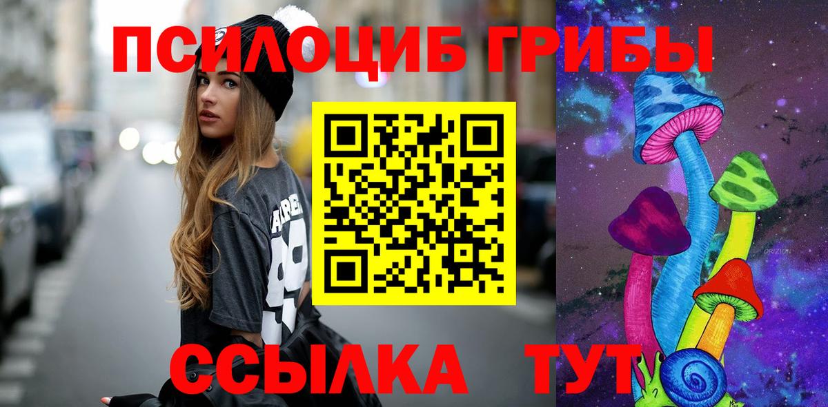 Галлюциногенные грибы Psilocybe Рузаевка