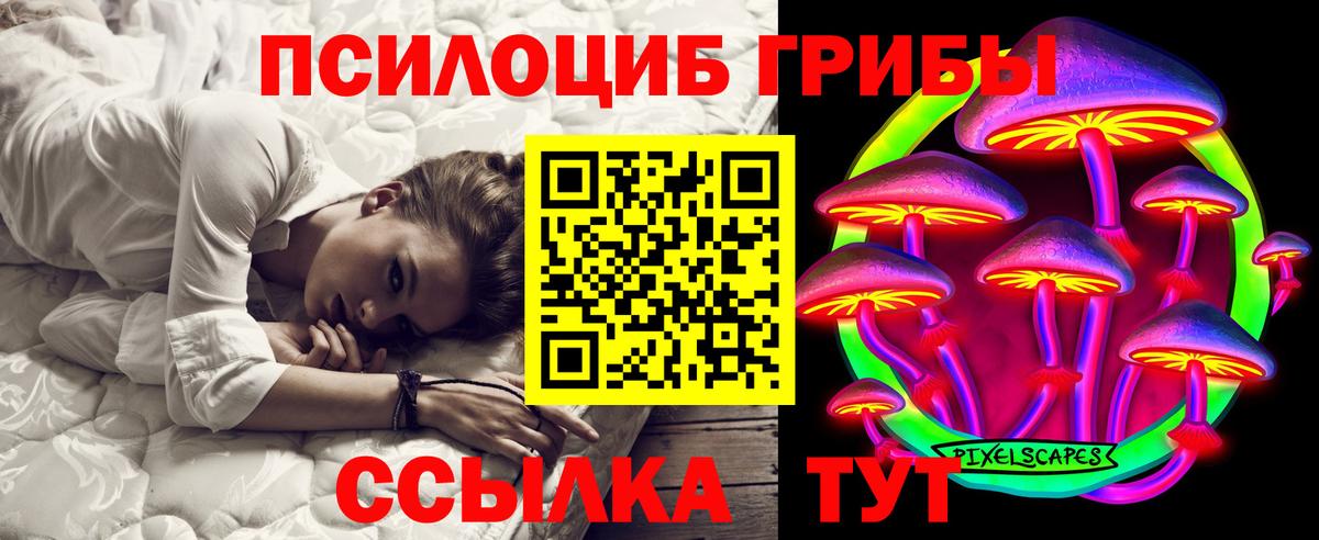 Рузаевка  Псилоцибиновые грибы MAGIC MUSHROOMS  Вход с VPN 